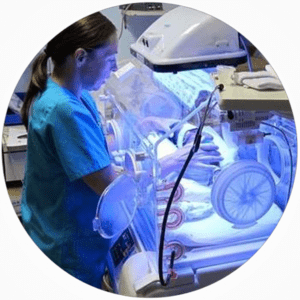 Nursing 3 Experienced Caregivers For Elderly Seniors